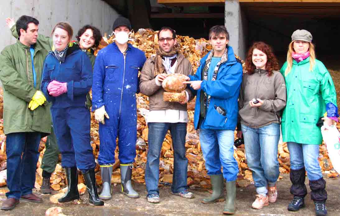 The Artists